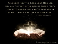 The Removal of Self